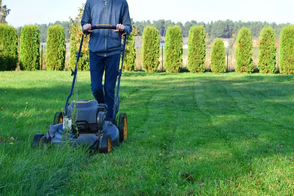 Landscaping